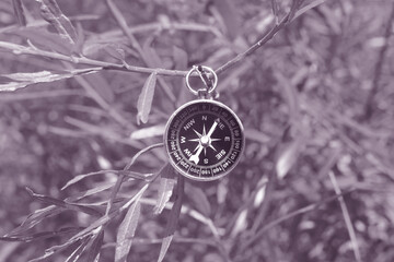 Wall Mural - classic navigation compass on natural background