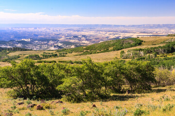 Wall Mural - A beautiful, lush green field with a clear blue sky above