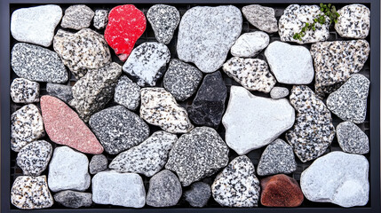 Wall Mural - Colorful stones arranged in a tray, nature background, garden plant visible, ideal for texture or design.