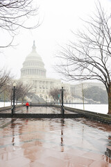 Wall Mural - Capitol Building in the snow - Washinton D.C. United States