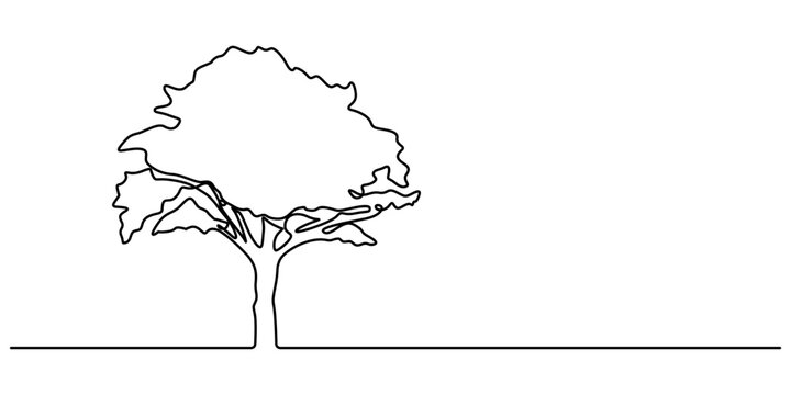 Continuous line drawing of tree on white background. Vector illustration, Tree plant doodle outline vector forest environment. Continuous one line tree plant for eco, nature, garden logo design. pro. 