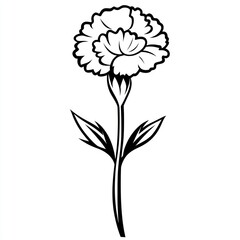 Wall Mural - A Single Black Line Drawing Of A Carnation Flower