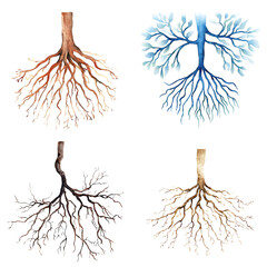 Poster - Artistic representation of tree roots nature watercolor illustrations abstract top-down view organic design