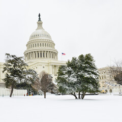 Wall Mural - Capitol Building in the snow - Washinton D.C. United States