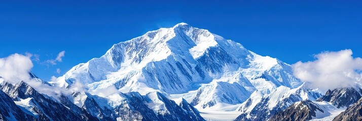 Wall Mural - denali national park