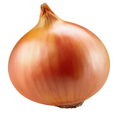 Wall Mural - A single onion isolated on a white background, showcasing its smooth, layered skin and rounded shape 