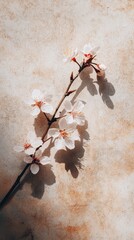 Aufkleber - delicate cherry blossom branch casting a distinct shadow on a textured background, illuminated by na