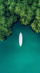 Poster - Aerial view of a white surfboard floating on calm turquoise water near lush green mangroves, creating a serene and inviting scene for water sports enthusiasts seeking tranquility and adventure