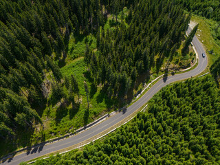 Fototapete - Winding road trough dense pine forest. Aerial drone view, top down