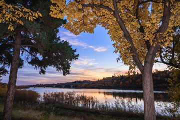 Wall Mural - a beautiful sunset over a lake with two trees in the foreground