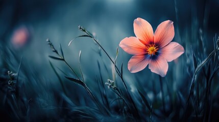 Aufkleber - Vibrant flower standing out amidst soft green grass in a serene natural setting