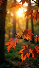 Wall Mural - Oak branchlets adorned with brown leaves in a patch of warm sunlight filter through, oaks, forest, sunlight