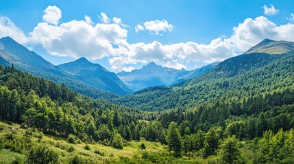 Poster - Green forests and majestic mountains under a bright blue sky in a breathtaking landscape view showcasing nature's beauty and tranquility