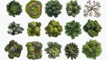 Top-down view of various trees and a garden plot. Ideal for architectural renderings, landscape design, or game development.