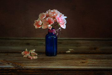 Wall Mural - Small bouquet of blooming geranium. Still life with flowers close-up.