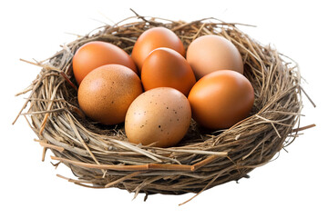 a bird nest with eggs, eggs in nest