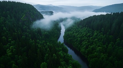 Wall Mural - A Majestic Mountain Landscape Surrounded by Lush Green Forests and Misty Rivers