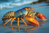 Colorful lobster crawls along the sandy beach at sunset near coastal waters