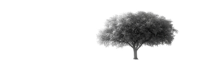 Wall Mural - Minimalist tree silhouette against a stark white backdrop, emphasizing simplicity and elegance in design.