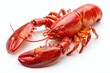 © Man888 - Boiled Lobster Isolated on White Background - Perfect for Cooking Recipes