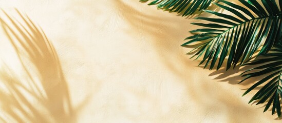 Poster - Tropical leaf shadows on textured wall background minimalist design ideal for product presentation and creative copyspace opportunities