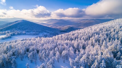 Aufkleber - winter aerial view of snow-covered mountains and forest landscape under a blue sky with fluffy cloud