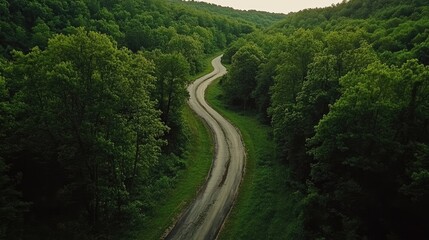 Poster - Aerial view of a winding road through a lush green forest with ample empty space for text placement in a serene natural landscape.