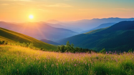 Poster - Breathtaking summer sunrise illuminating serene mountain valley with vibrant wildflowers showcasing the beauty of nature and countryside tranquility