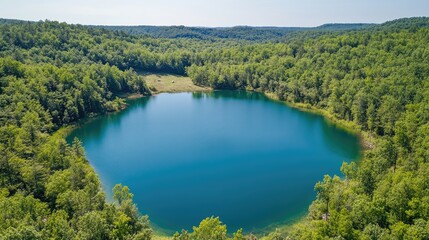 Poster - Aerial view of serene blue lake encircled by lush green forest ideal for nature themes and text overlay placement
