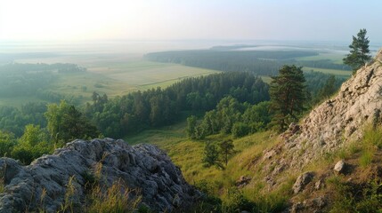 Poster - Stunning panoramic view of lush forests and green fields from a mountain summit under a clear sky at dawn