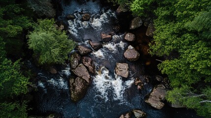 Poster - Aerial view of a forest river flowing over rocks with lush greenery and space for text placement in a serene natural landscape