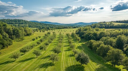 Poster - Aerial view of a vibrant organic apple orchard showcasing lush greenery and rolling hills under a scenic sky