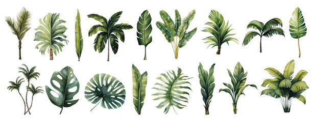 Watercolor set tropical leaves and palm trees - botanical illustration for nature and decor