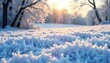 © Sutasinee - Hoarfrost coats the ground like a thick blanket, winter, frost