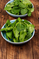 Canvas Print - Raw baby Spinach