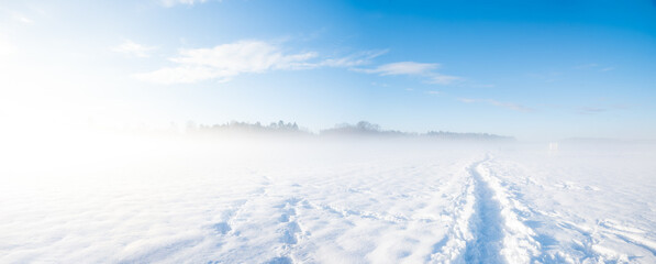 Wall Mural - footpath over foggy snowy field in the early morning
