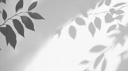 Poster - Soft Shadows of Leaves Gently Cast on a White Wall Creating a Tranquil and Serene Background Ideal for Minimalist Design and Nature Themes