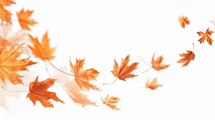 Poster - Autumn Maple Leaves in Motion on a Minimalist White Background Representing Fall Breeze, Seasonal Aesthetics, and Nature's Beauty

