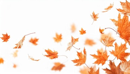 Poster - Autumn Maple Leaves in Motion on a Minimalist White Background Representing Fall Breeze, Seasonal Aesthetics, and Nature's Beauty

