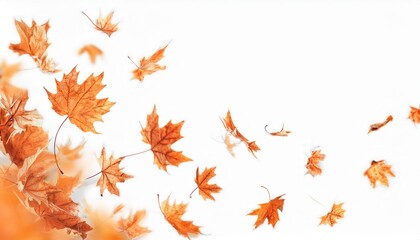 Poster - Autumn Maple Leaves in Motion on a Minimalist White Background Representing Fall Breeze, Seasonal Aesthetics, and Nature's Beauty

