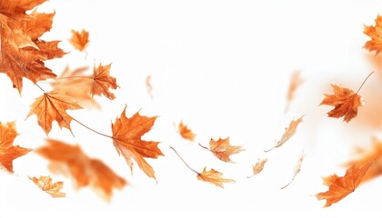 Poster - Autumn Maple Leaves in Motion on a Minimalist White Background Representing Fall Breeze, Seasonal Aesthetics, and Nature's Beauty

