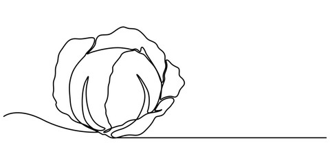 Poster - Single continuous line drawing whole and cut sliced healthy organic headed cabbage for farm logo identity, Chinese cabbage in continuous line art drawing style. Bok choy (pak choi) black linear sketch