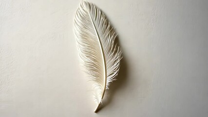 Poster - Elegant white feather resting on a smooth surface, showcasing intricate details and textures in natural light