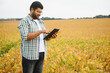 © Serhii - The concept of agriculture. An Indian farmer or agronomist inspects the soybean crop in a field