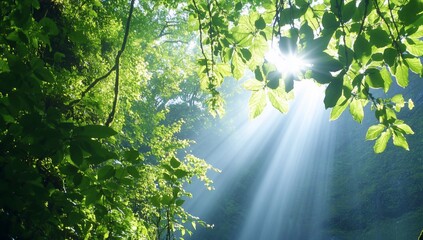 Wall Mural - Sunlight filters through lush green leaves in a serene forest setting.