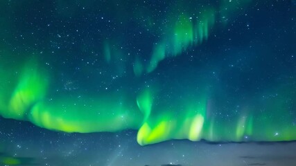 Wall Mural - a magical aurora borealis that dances to the rhythm of an unseen celestial orchestra