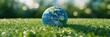 © Alfath - Earth globe resting on lush green grass in sunlight.