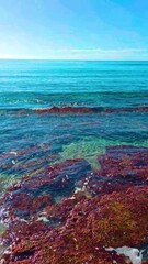 Wall Mural - Vertical video of an empty beach in Sardinia, Italy