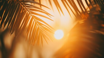 Poster - Golden sunset illuminating palm trees, casting a warm glow over a tranquil beach scene, creating an inviting summer holiday atmosphere ideal for tropical travel and resort experiences