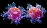 A B-cell is a type of white blood cell that interacts with a virus, producing antibodies. Adaptive immunity, CAR-T cell therapy.